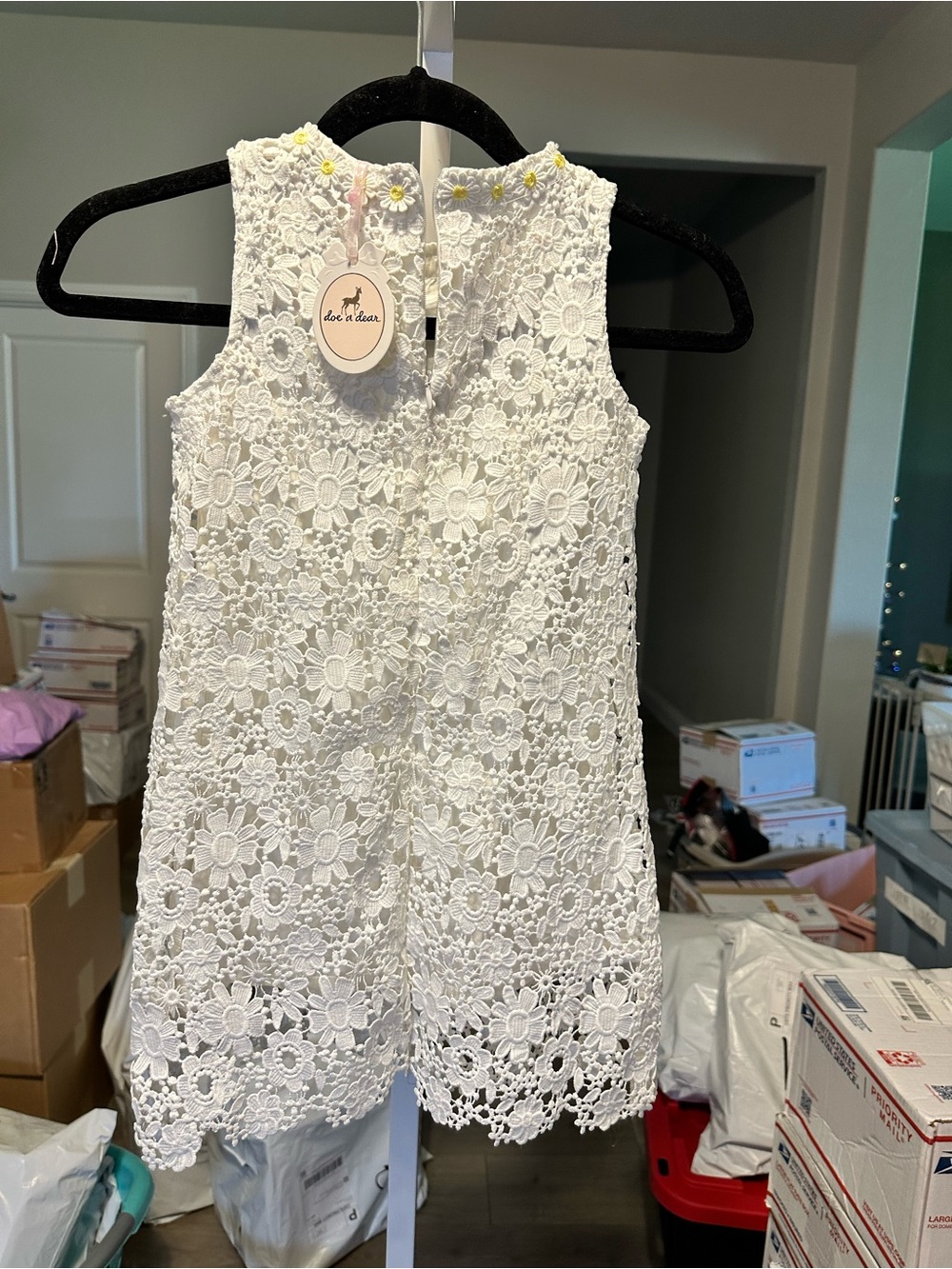 NWT Doe A Dear Little Girl Full Lace Embroidered Sleeveless Dress - Size 6 - Picture 3 of 5